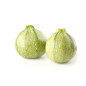 COURGETTE BLANCHE RONDE 5KG